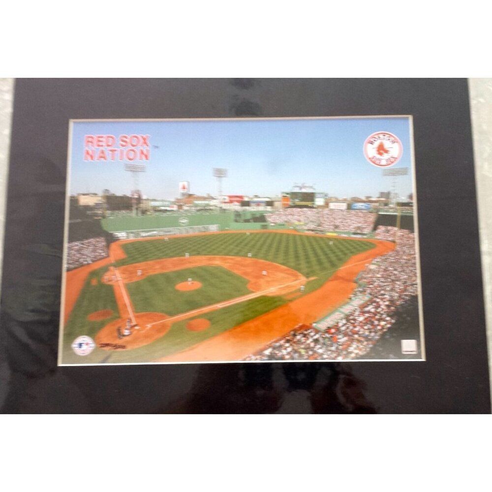Boston Red Sox MLB Toon Art Fenway Park Stadium Lithograph World Series Champion
